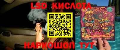 шишки Ставрополь