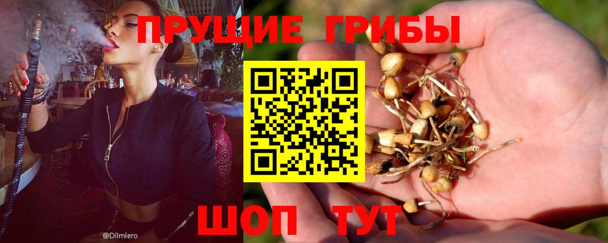 Элиста  Галлюциногенные грибы мицелий  Псилоцибиновые грибы Magic Shrooms  Вход с VPN 