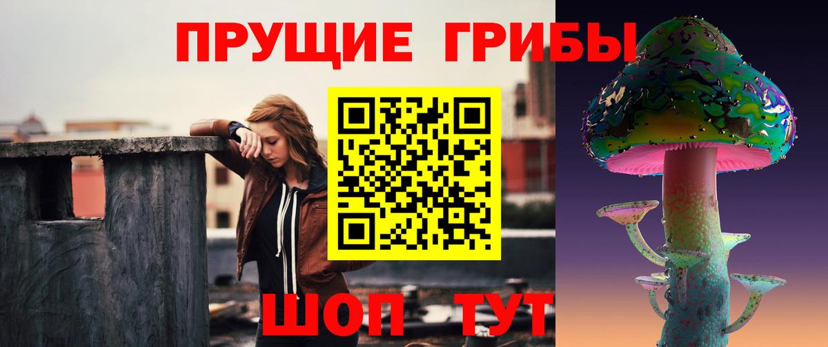 Псилоцибиновые грибы мухоморы Элиста