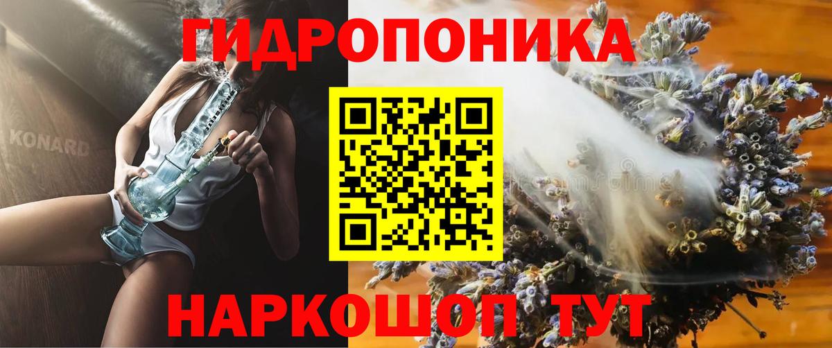 Бошки марихуана ГИДРОПОН  Каннабис OG Kush  Вход с VPN  Марихуана OG Kush  Элиста 